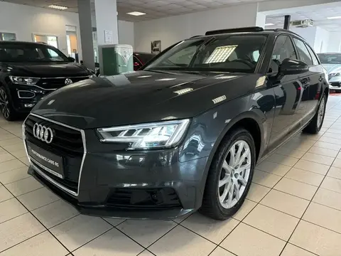 Annonce AUDI A4 Diesel 2019 d'occasion 