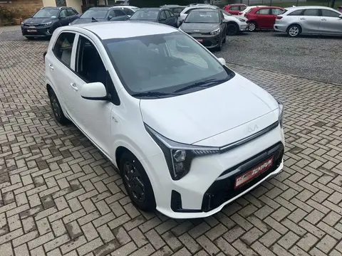 Annonce KIA PICANTO Essence 2024 d'occasion 