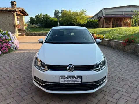 Used VOLKSWAGEN POLO Diesel 2017 Ad 