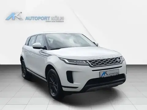 Annonce LAND ROVER RANGE ROVER EVOQUE Diesel 2019 d'occasion 