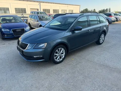 Annonce SKODA OCTAVIA Diesel 2019 d'occasion 