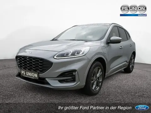 Used FORD KUGA Hybrid 2022 Ad 