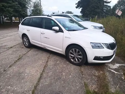 Annonce SKODA OCTAVIA Diesel 2020 d'occasion 