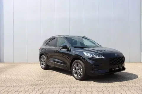 Used FORD KUGA Hybrid 2023 Ad 