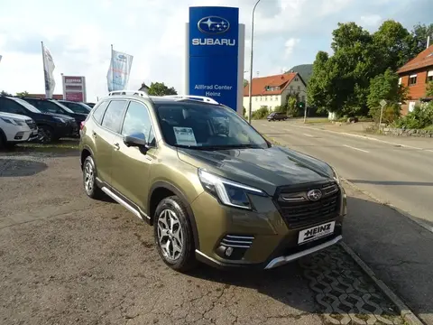 Used SUBARU FORESTER Petrol 2024 Ad 