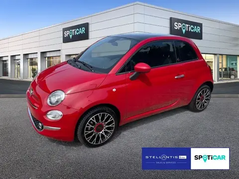 Used FIAT 500 Petrol 2023 Ad 