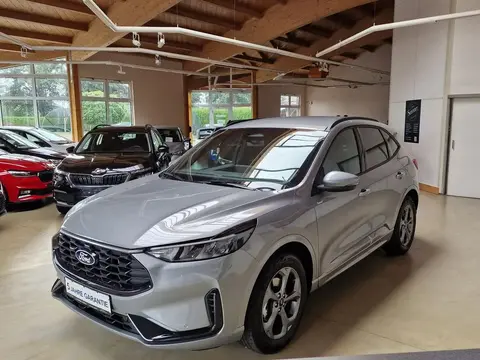 Annonce FORD KUGA Essence 2024 d'occasion 