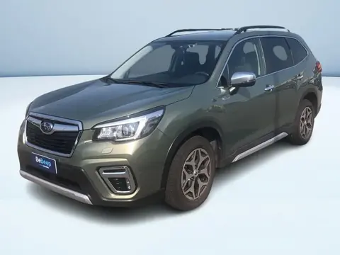 Annonce SUBARU FORESTER Hybride 2020 d'occasion 