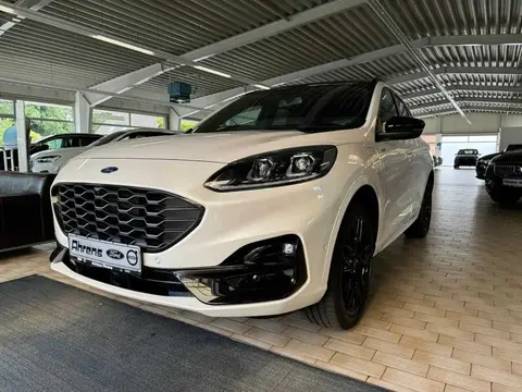 Annonce FORD KUGA Hybride 2023 d'occasion 