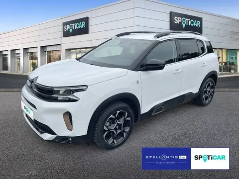 Used CITROEN C5 AIRCROSS Diesel 2023 Ad 