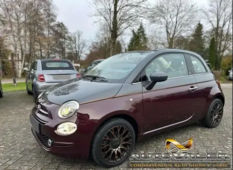 Used FIAT 500 Petrol 2019 Ad 