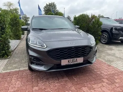 Annonce FORD KUGA Essence 2024 d'occasion 