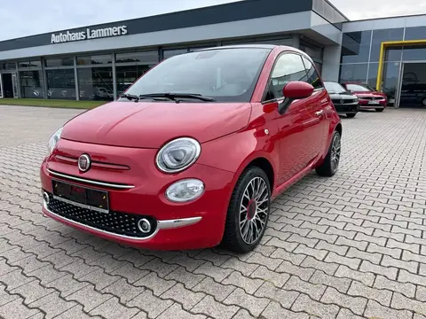 Used FIAT 500 Petrol 2023 Ad 