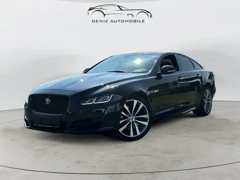 Annonce JAGUAR XJ Diesel 2016 d'occasion 