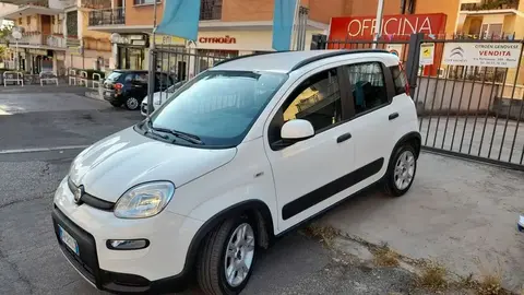 Used FIAT PANDA Hybrid 2023 Ad 