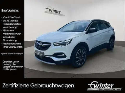 Used OPEL GRANDLAND Petrol 2021 Ad 