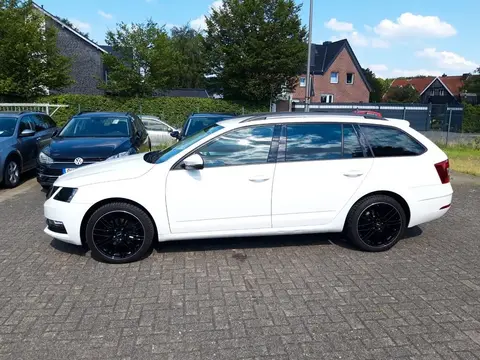 Used SKODA OCTAVIA Diesel 2019 Ad 