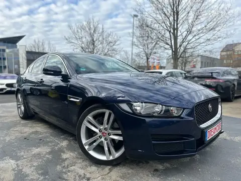 Used JAGUAR XE Diesel 2016 Ad 