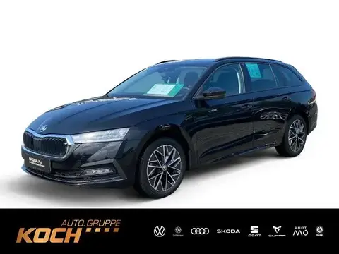 Used SKODA OCTAVIA Petrol 2023 Ad 