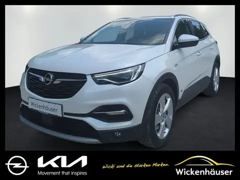 Used OPEL GRANDLAND Hybrid 2021 Ad 