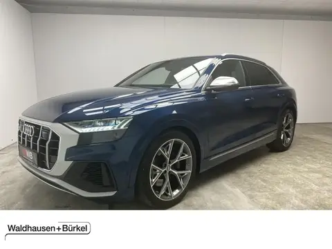 Annonce AUDI SQ8 Diesel 2020 d'occasion 