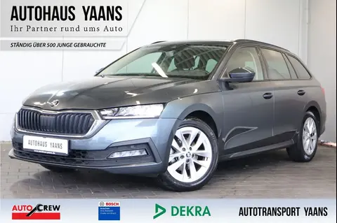 Annonce SKODA OCTAVIA Diesel 2021 d'occasion 