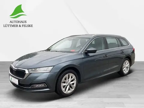 Annonce SKODA OCTAVIA Essence 2021 d'occasion 