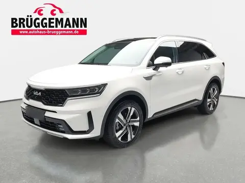 Annonce KIA SORENTO Hybride 2024 d'occasion 