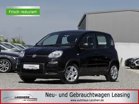 Annonce FIAT PANDA Essence 2024 d'occasion 