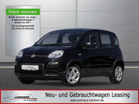 Annonce FIAT PANDA Essence 2024 d'occasion 