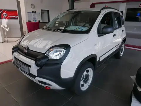 Annonce FIAT PANDA Essence 2023 d'occasion 