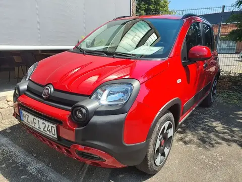 Annonce FIAT PANDA Essence 2024 d'occasion 