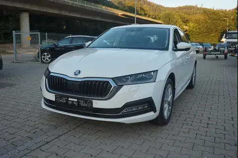 Annonce SKODA OCTAVIA Diesel 2022 d'occasion 