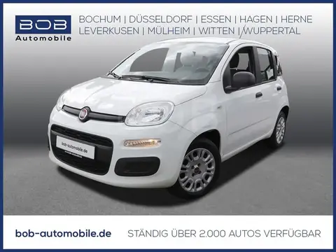 Annonce FIAT PANDA Essence 2017 d'occasion 