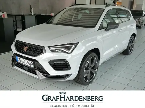 Annonce CUPRA ATECA Essence 2024 d'occasion 