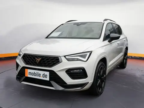 Used CUPRA ATECA Petrol 2023 Ad 