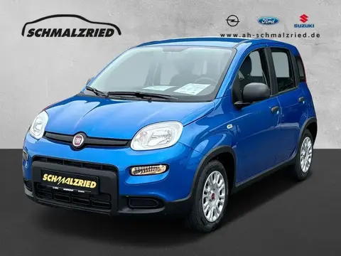 Used FIAT PANDA Hybrid 2024 Ad 