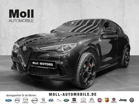 Annonce ALFA ROMEO STELVIO Essence 2022 d'occasion 