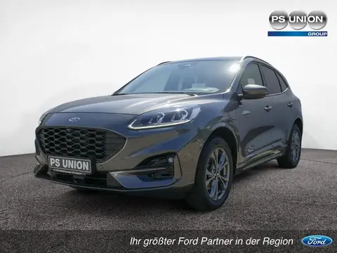 Annonce FORD KUGA Hybride 2022 d'occasion 