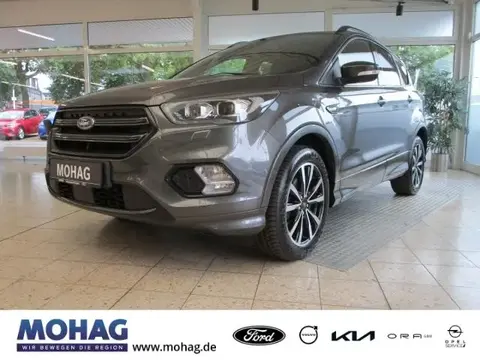 Used FORD KUGA Petrol 2019 Ad 