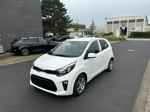 Annonce KIA PICANTO Essence 2024 d'occasion 