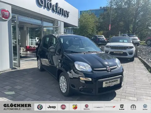 Used FIAT PANDA Hybrid 2024 Ad 