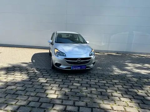 Used OPEL CORSA Petrol 2019 Ad 