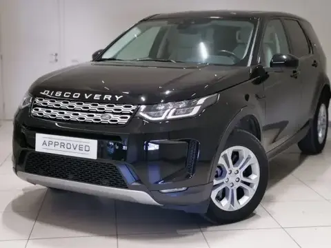 Used LAND ROVER DISCOVERY Hybrid 2020 Ad 