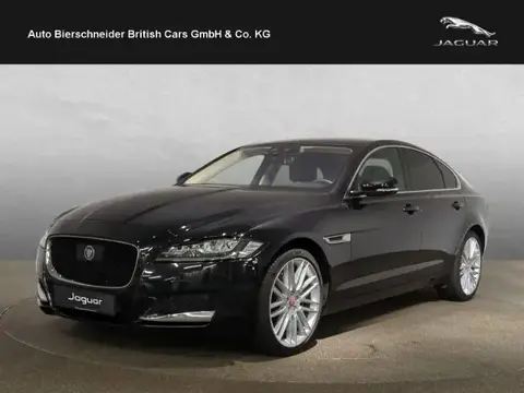 Used JAGUAR XF Petrol 2020 Ad 