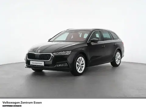 Used SKODA OCTAVIA Petrol 2021 Ad 