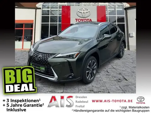 Used LEXUS UX Hybrid 2024 Ad 