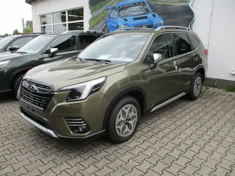 Used SUBARU FORESTER Petrol 2024 Ad 