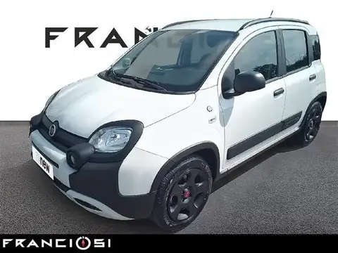 Used FIAT PANDA Petrol 2018 Ad 