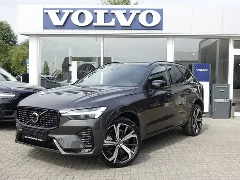 Annonce VOLVO XC60 Diesel 2023 d'occasion 